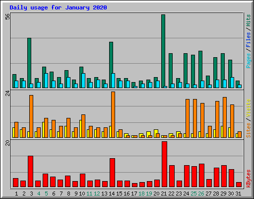 Daily usage for January 2020