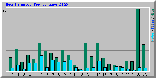 Hourly usage for January 2020